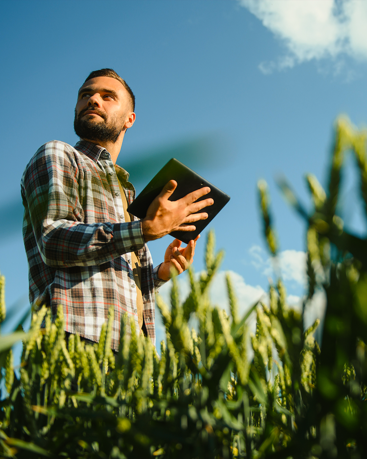Indústria, operação de campo ou linha de produção do agronegócio